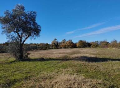 Plac, Svetvinčenat, Butkovići, prodaja, 5864m2, 50000e, id32013