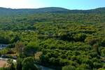 Plac, Labin, Rabac, prodaja, 9161m2, 1450000e, id41019