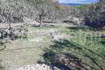 Plac, Supetar, Supetar, prodaja, 11000m2, 260000e, id41365