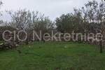 Plac, Supetar, Supetar, prodaja, 10630m2, 300000e, id41476