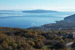 Plac, Opatija, Veprinac, prodaja, 18150m2, 2500000e, id41005