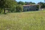 Plac, Motovun, prodaja, 16637m2, 350000e, id42325