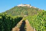 Plac, Motovun, prodaja, 3213m2, 100000e, id42451