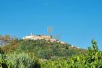 Plac, Motovun, prodaja, 3213m2, 100000e, id42451