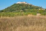 Plac, Motovun, prodaja, 3213m2, 100000e, id42451