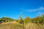 Plac, Motovun, prodaja, 4933m2, 155000e, id42452