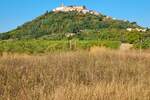 Plac, Motovun, prodaja, 4933m2, 155000e, id42452