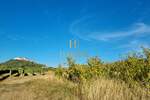 Plac, Motovun, prodaja, 4485m2, 140000e, id42453