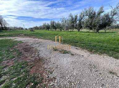 Plac, Umag, prodaja, 2500m2, 325000e, id42736