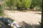 Plac, Rab, Barbat na Rabu, prodaja, 1426m2, 255000e, id44830