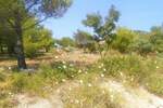 Plac, Rab, Barbat na Rabu, prodaja, 1426m2, 255000e, id44830