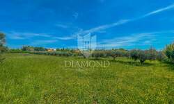 Plac, Umag, Umag, prodaja, 1367m2, 229000e, id44866