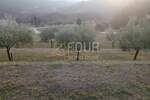 Plac, Buzet, Buzet, prodaja, 2744m2, 190000e, id31154