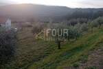 Plac, Buzet, Buzet, prodaja, 2744m2, 190000e, id31154