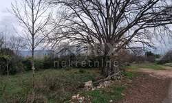 Plac, Novigrad, Pridraga, prodaja, 872m2, 13080e, id45418