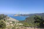 Plac, Mali Lošinj, Ustrine, prodaja, 4600m2, 92000e, id45758