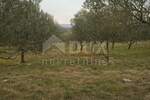 Plac, Krk, Vrh, prodaja, 13127m2, 255000e, id47323