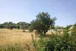 Plac, Vodnjan, prodaja, 0m2, 80340e, id47624