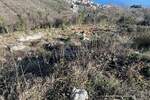 Plac, Opatija, Veprinac, prodaja, 1017m2, 240000e, id47862