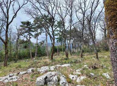 Plac, Opatija, Ičići, prodaja, 13419m2, 250000e, id50240