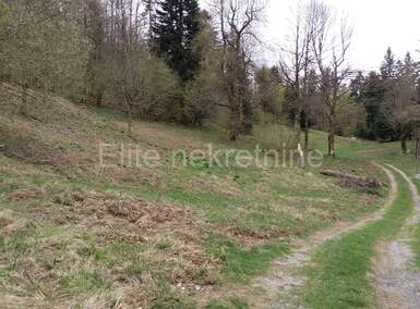 Plac, Delnice, Crni Lug, prodaja, 15876m2, 131000e, id51995