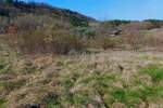 Plac, Buzet, Buzet, prodaja, 10498m2, 50000e, id52202