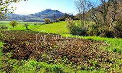 Plac, Motovun, Motovun, prodaja, 6000m2, 333000e, id52494