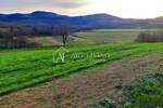 Plac, Motovun, Motovun, prodaja, 6000m2, 333000e, id52494