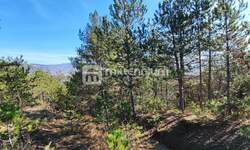 Plac, Cerovlje, Paz, prodaja, 213562m2, 299000e, id52990