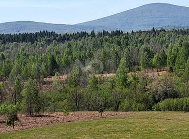 Plac, Slunj, Donje Primišlje, prodaja, 86269m2, 60000e, id53197