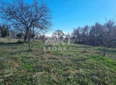 Plac, Barban, Manjadvorci, prodaja, 800m2, 56000e, id53873