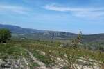 Plac, Motovun, Motovun, prodaja, 3597m2, 249000e, id54237