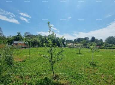 Plac, Fažana, prodaja, 0m2, 78000e, id54737