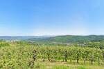 Plac, Motovun, Motovun, prodaja, 2812m2, 160000e, id56149