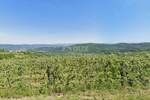 Plac, Motovun, Motovun, prodaja, 2812m2, 160000e, id56149