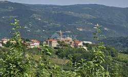 Zemljiste, Motovun, prodaja, 165000 €, 2812 m2