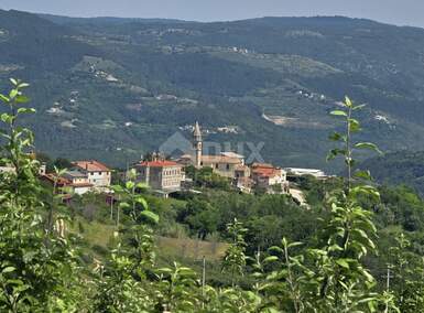 Plac, Motovun, Motovun, prodaja, 2812m2, 165000e, id56149