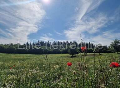 Plac, Vižinada, Markovići, prodaja, 10000m2, 103000e, id56991