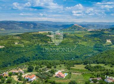 Plac, Motovun, Motovun, prodaja, 10041m2, 320000e, id57718