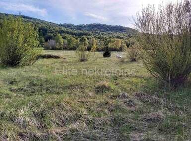 Plac, Delnice, Zalesina, prodaja, 22000m2, 120000e, id13099