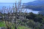 Plac, Labin, Rabac, prodaja, 2913m2, 498000e, id51245