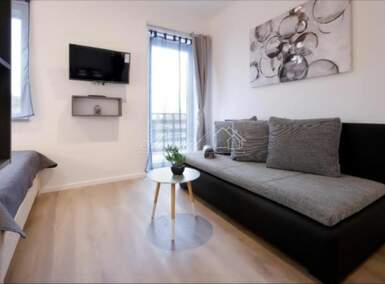 Jednosoban stan, Rijeka, Brajda, najam, 33m2, 470e, id58754