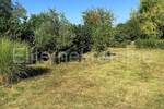 Plac, Pula, Pula, prodaja, 385m2, 60000e, id59324