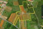 Kuca, Umag, prodaja, 500m2, 1550000e, id59562