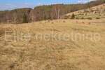 Plac, Ravna Gora, Stari Laz, prodaja, 34200m2, 46000e, id59574