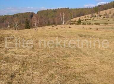 Plac, Ravna Gora, Stari Laz, prodaja, 34200m2, 46000e, id59574