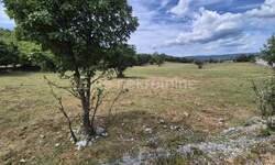 Plac, Čavle, Podrvanj, prodaja, 5300m2, 663000e, id59785