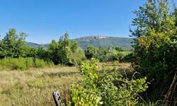 Plac, Buzet, Buzet, prodaja, 1136m2, 45000e, id60550