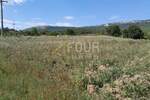 Plac, Buzet, Buzet, prodaja, 1169m2, 47000e, id48471