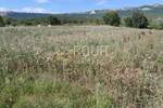 Plac, Buzet, Buzet, prodaja, 1169m2, 47000e, id48471